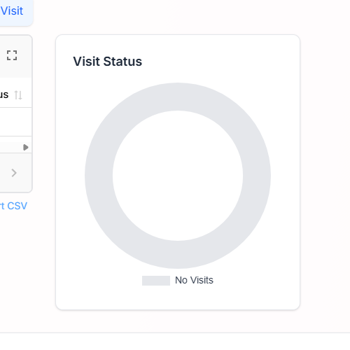 Visit Status doughnut card on the dashboard showing the No Visits empty state with a single grey ring