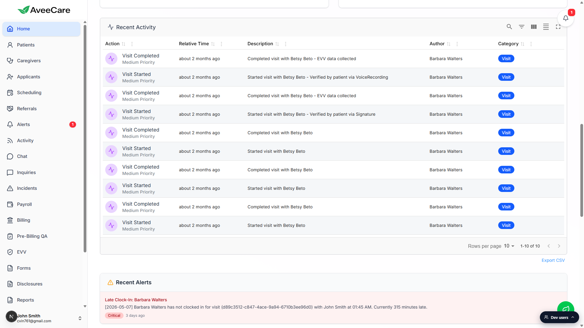 Recent Activity table on the dashboard with rows of Visit Started and Visit Completed events for Betsy Beto, each row showing the relative time, description, author, and category pill