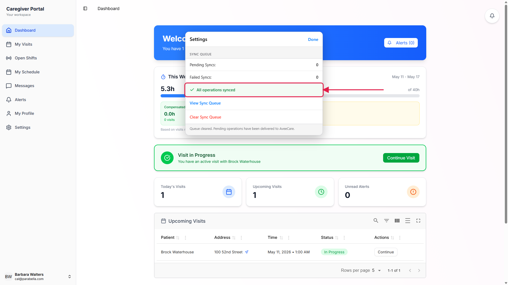 Native Settings Sync Queue section showing Pending Syncs 0, Failed Syncs 0, and a green All operations synced row called out with a red box and arrow