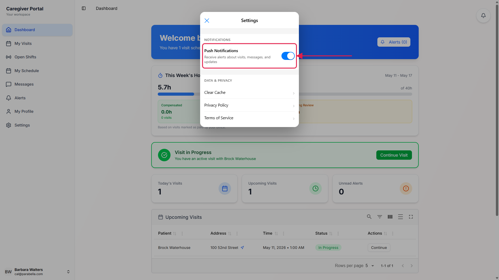 Native Settings screen with the Notifications section showing the Push Notifications row and a blue iOS-style toggle in the on position, with the Data and Privacy section below, called out with a red box and arrow around the Push Notifications row
